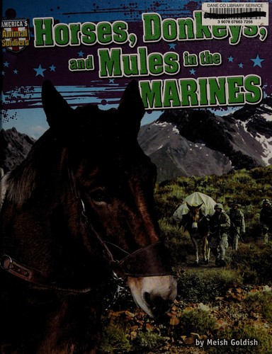 Horses, donkeys, and mules in the Marines