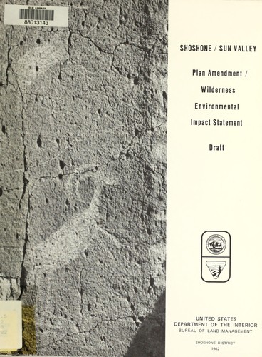 Shoshone/Sun Valley plan amendment/wilderness environmental impact statement