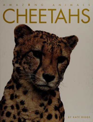 Cheetahs