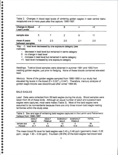 Lead and mercury levels in golden and bald eagles and annual movements of golden eagles wintering in east central Idaho, 1990-1997