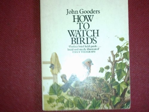 How to Watch Birds