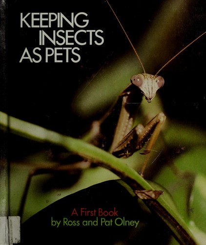 Keeping insects as pets