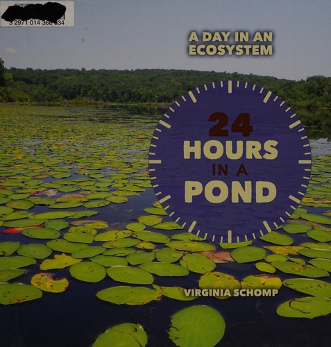 24 hours in a pond
