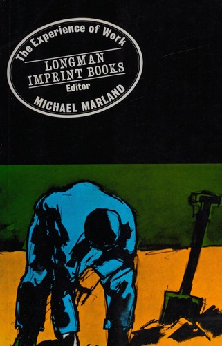 The Experience of Work (Imprint Books)