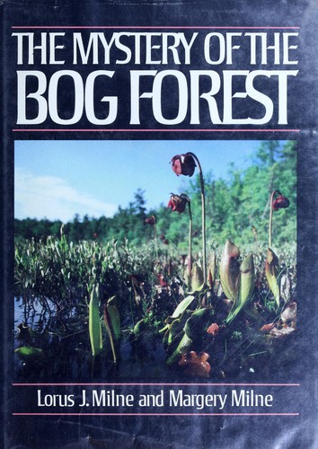 The mystery of the bog forest