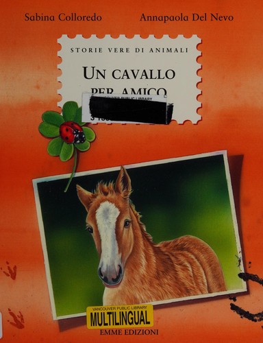 Un cavallo per amico