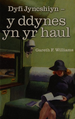 Dyfi Jyncshiyn - y ddynes yn yr haul
