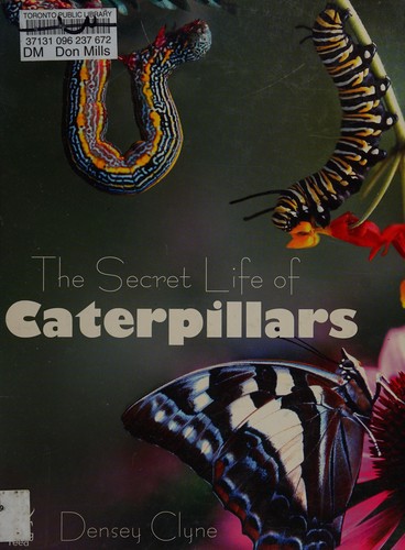 Secret Life of Caterpillars