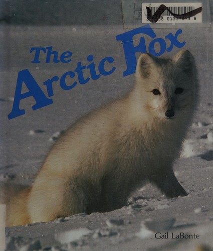 The arctic fox