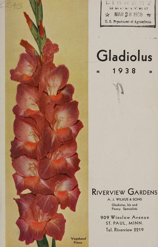 Gladiolus, 1938