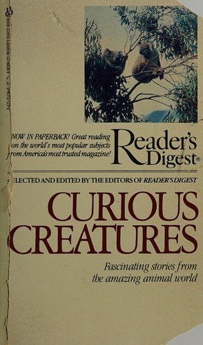 Curious Creatures