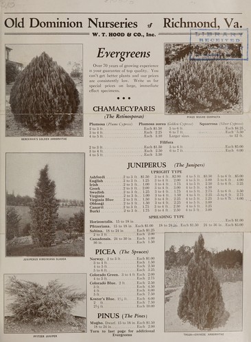[W.T. Hood & Co., Inc. evergreens, trees and plants trade circular and price list]