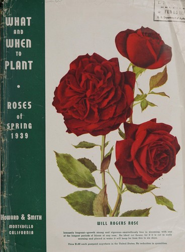 What and when to plant