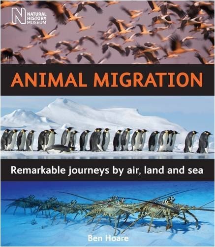 Animal Migration
