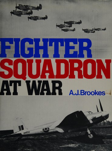 Fighter squadron at war