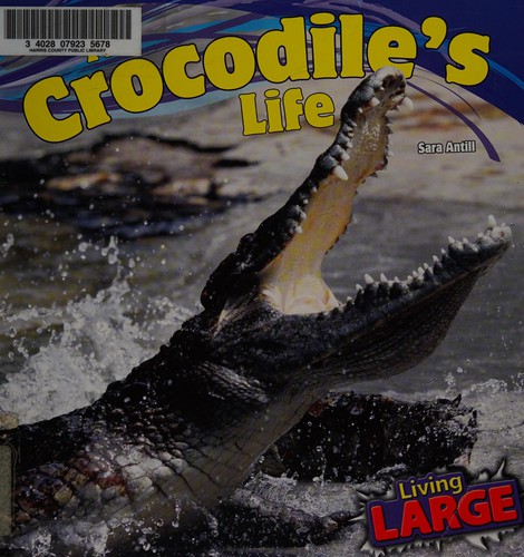 A crocodile's life