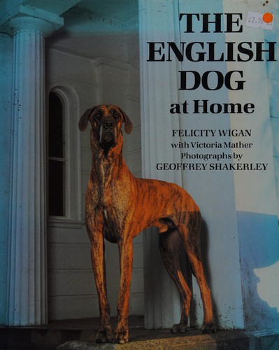 The English dog at home