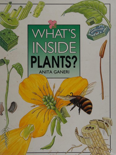What's Inside Plants? (Information Books - What Do We Know About Religions?)