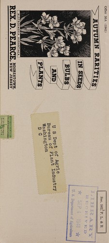 Autumn rarities in seeds, bulbs and plants