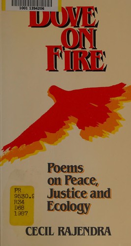 A spirituality for our times