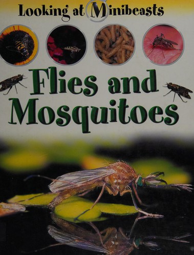 Flies and mosquitoes