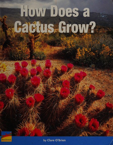 How Does a Cactus Grow?