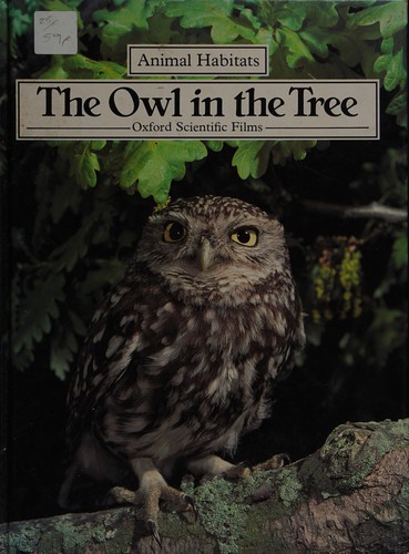 The owl in the tree
