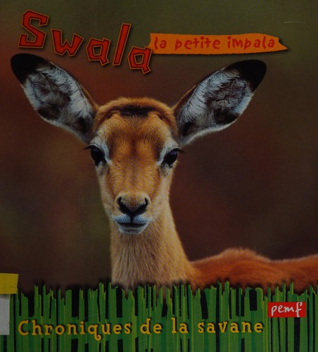 Swala, la petite impala