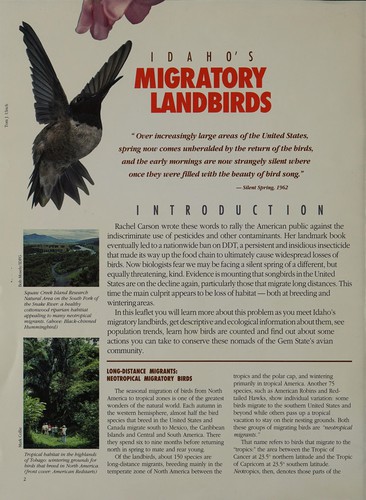 Idaho's migratory landbirds