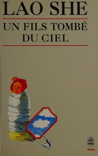 Un Fils Tombe Du Ciel