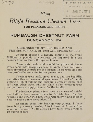 Blight resistant chestnut trees for pleasure and profit for fall of 1942 and spring of 1943