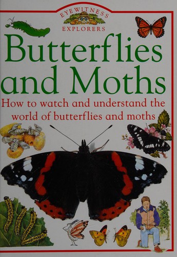 Butterflies and Moths