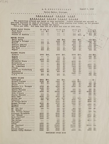 American grown tulip bulbs