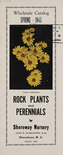 Rock plants and perennials