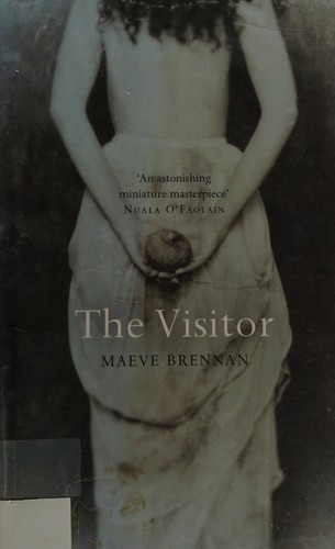 The visitor