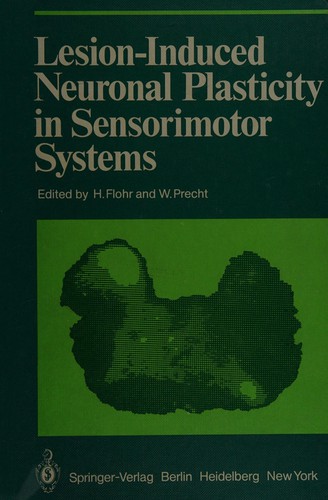 Lesion-induced neuronal plasticity in sensorimotor systems