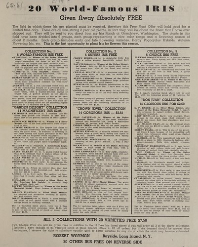 20 World famous iris given away absolutely free