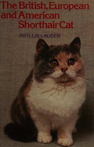 The British, European, and American shorthair cat