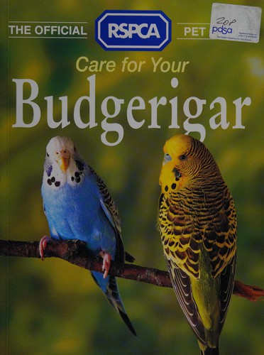 Care for your budgerigar.