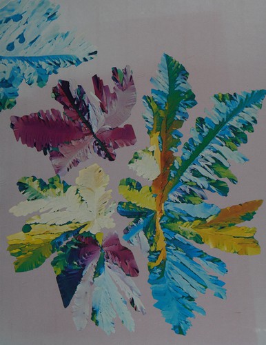 Chemistry with inorganic qualitative analysis