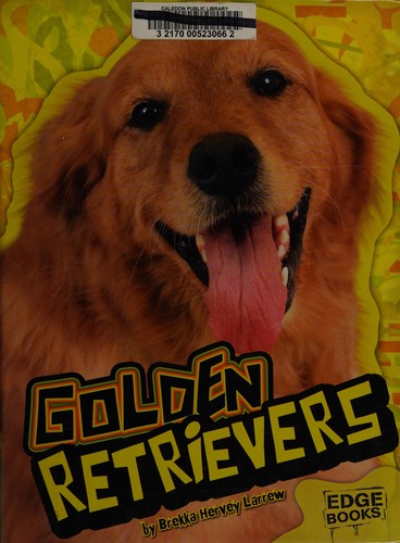 Golden retrievers