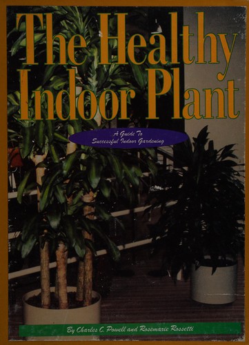 The healthy indoor plant
