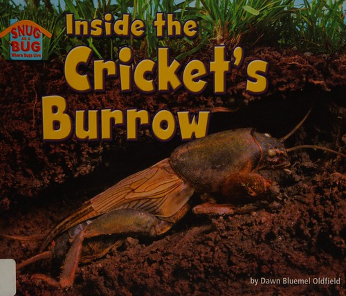 Inside the Cricket's Burrow