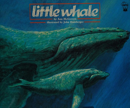 Little whale