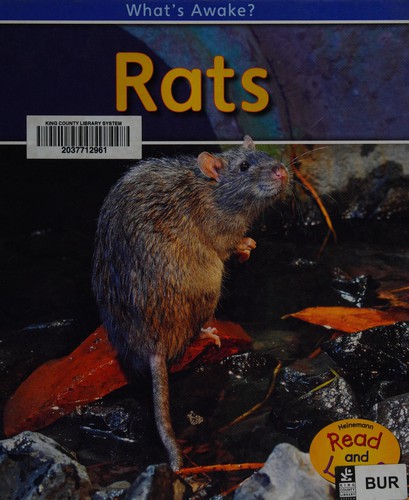 Rats