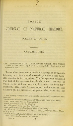Dissection of a spermaceti whale and three other cetaceans