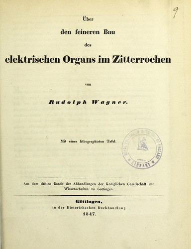 Über den feineren Bau des elektrischen Organes im Zitterrochen
