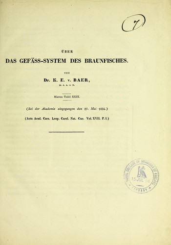 Über das Gefäss-System des Braunfisches
