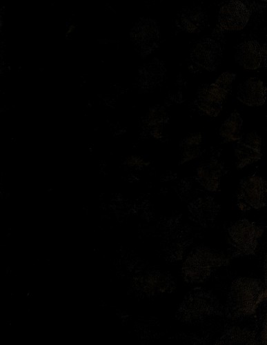 Miguel Cervantes, general de brigada, y gobernador del distrito federal