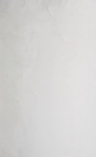 Contributions to the pathology and treatment of diseases of the chest